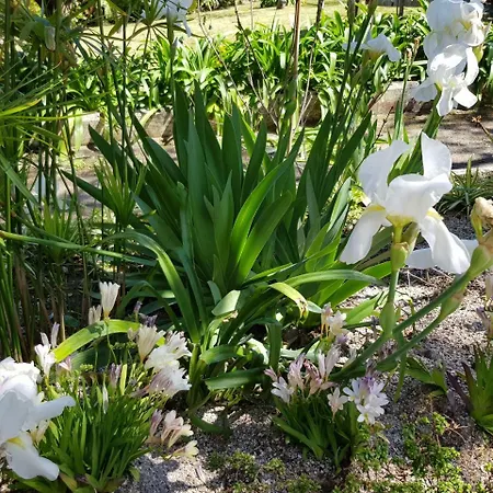 Kalimera Apartment *