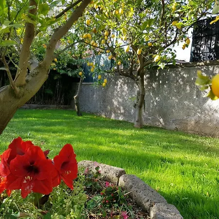 Apartment Kalimera Sorrento