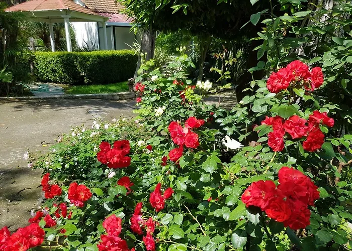 Kalimera Lägenhet Sorrento