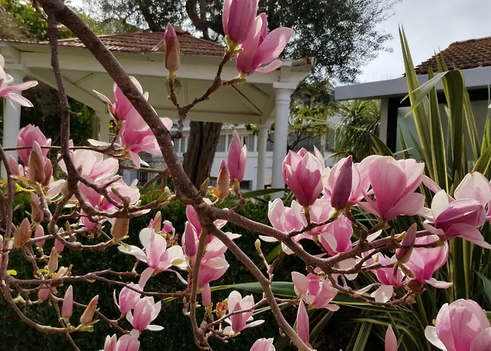 Kalimera Lägenhet Sorrento