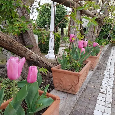 Kalimera * Península Sorrentina