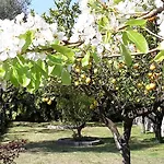 Kalimera Apartman *