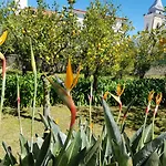 Kalimera Апартаменти