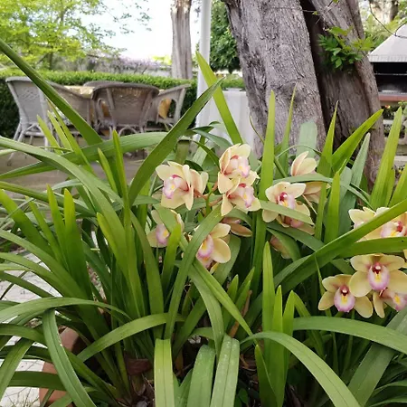 Διαμέρισμα Kalimera *