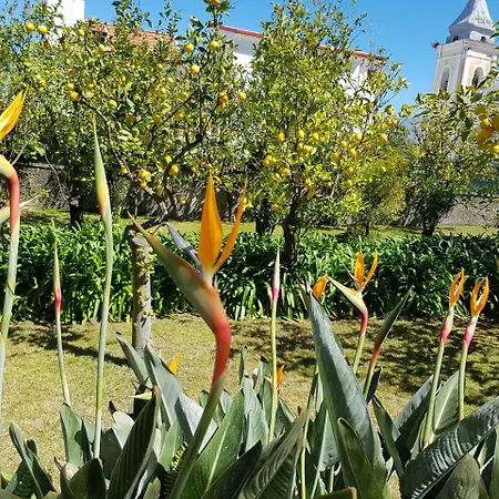 Kalimera Διαμέρισμα