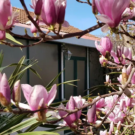 Kalimera Apartment