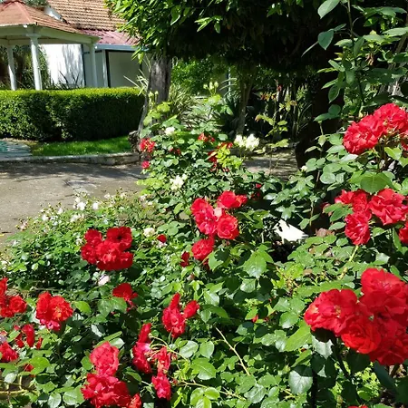 Kalimera Διαμέρισμα Σορέντο