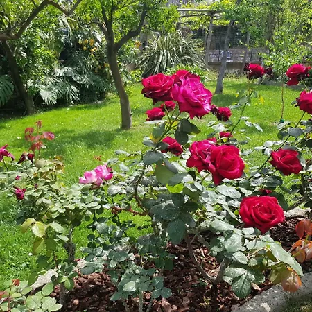 Kalimera Διαμέρισμα *