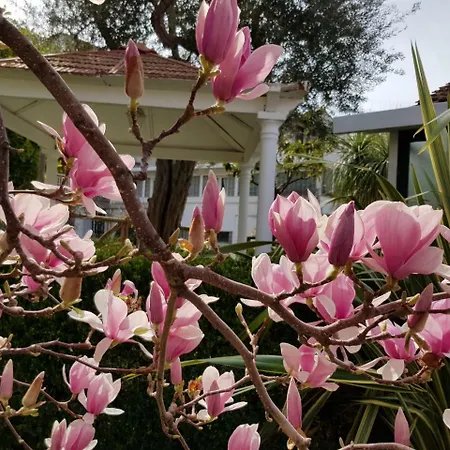 Kalimera Διαμέρισμα Σορέντο