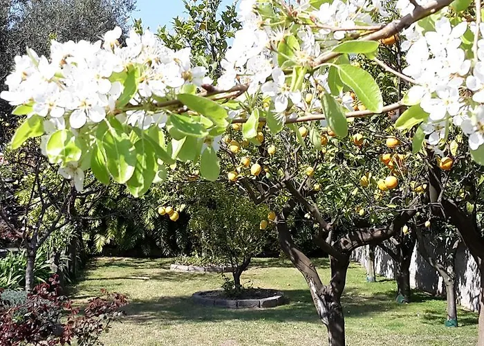 Kalimera Appartement *