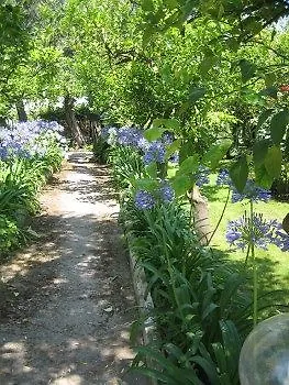 Lejlighed Kalimera *