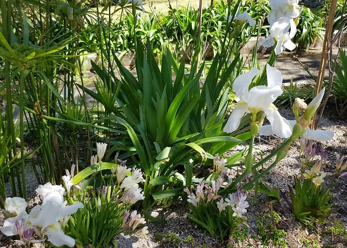 Kalimera Appartement *