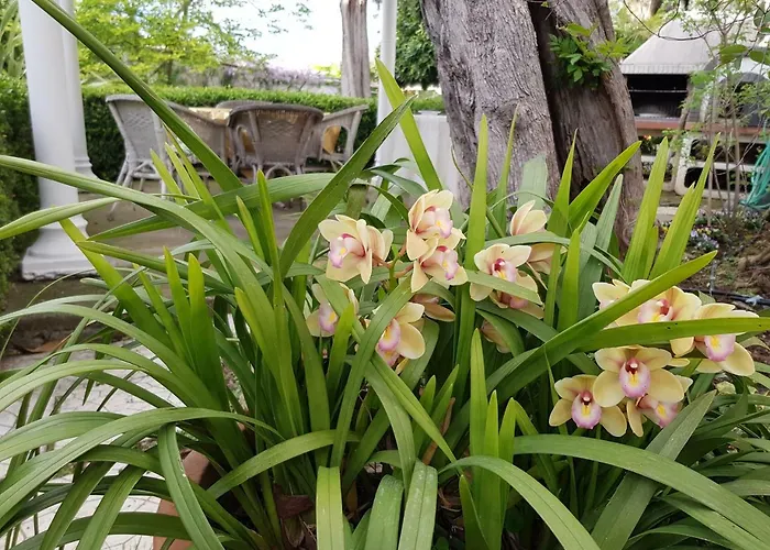 Lejlighed Kalimera *