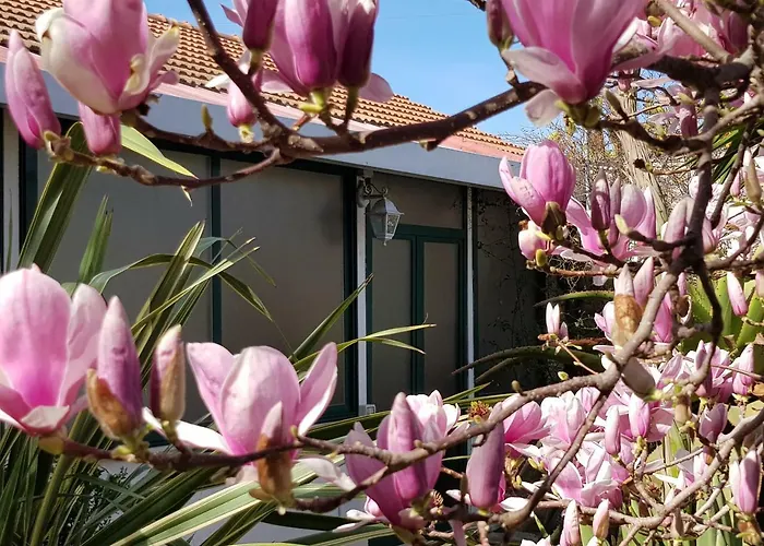 Kalimera Appartement