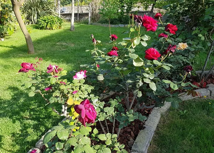 Appartement Kalimera