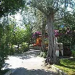 Apartment Kalimera Sorrento