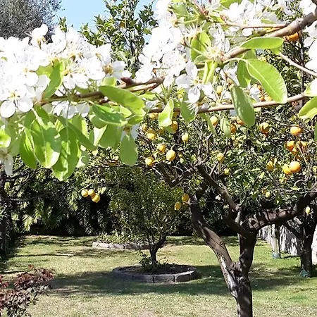 Kalimera Apartament *