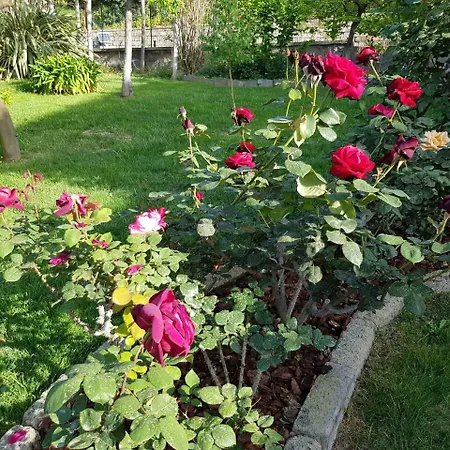 Apartament Kalimera
