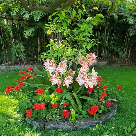 Apartament Kalimera